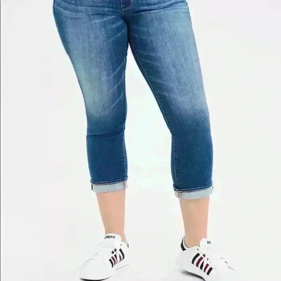 AE Ne(x)t Level Artist Crop Jean Size 24 Long NWT - Picture 3 of 14